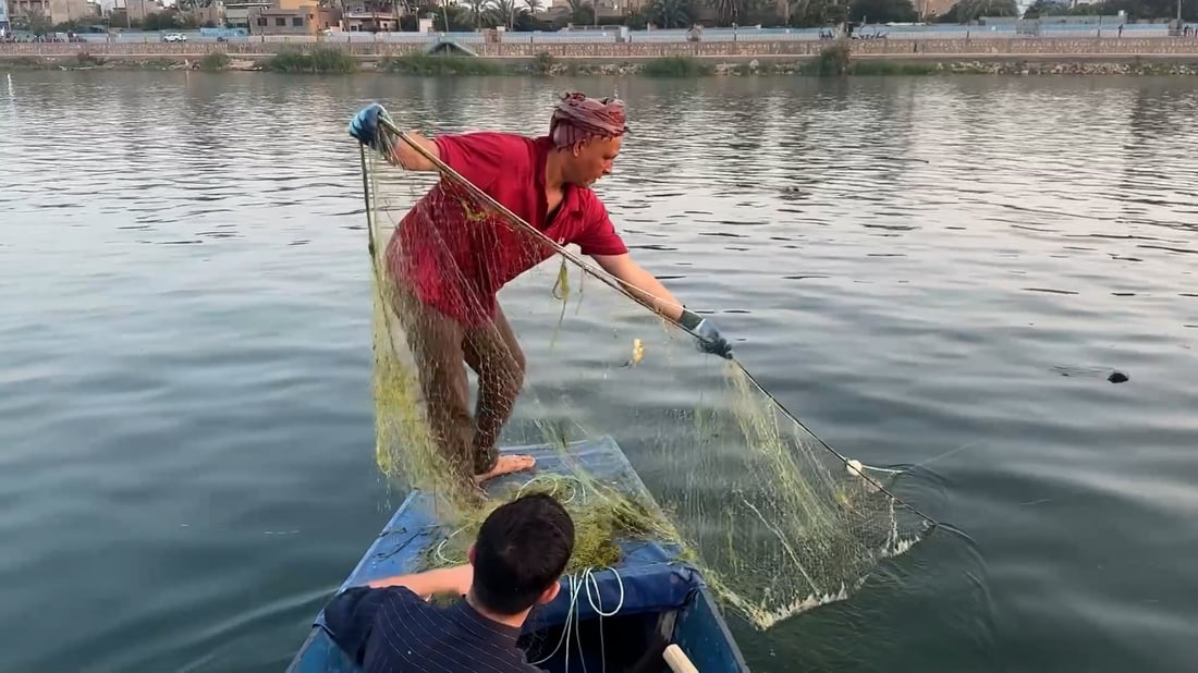 فيديو: الأسماك المفقودة عادت إلى الفرات في هيت.. الصيادون رصدوا الحفار والنباش