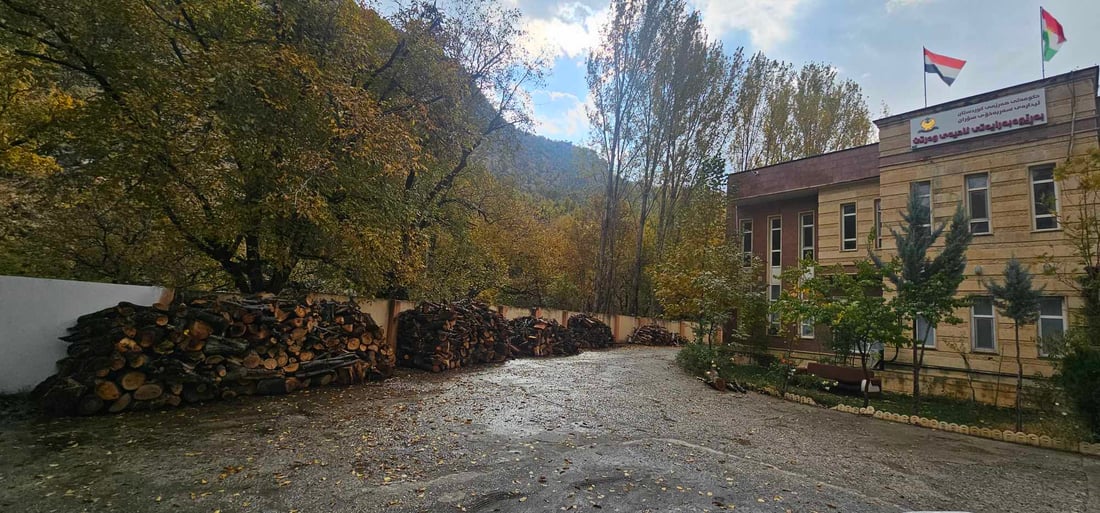 له‌ وه‌رتێ چه‌ندین پیكاب دارى بڕاوه‌ له ‌رێگەى ‌زیادكردنى ئاشكرا ده‌فرۆشرێن