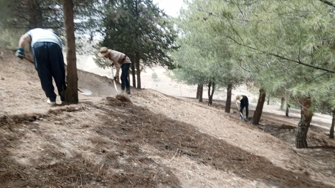 لە رواندز رێگری لە سووتانی دارەکان دەکرێت