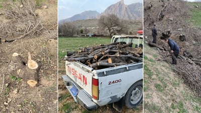 دەستێکی خراپەکار 70 بنەبەڕووی بڕیوەتەوە