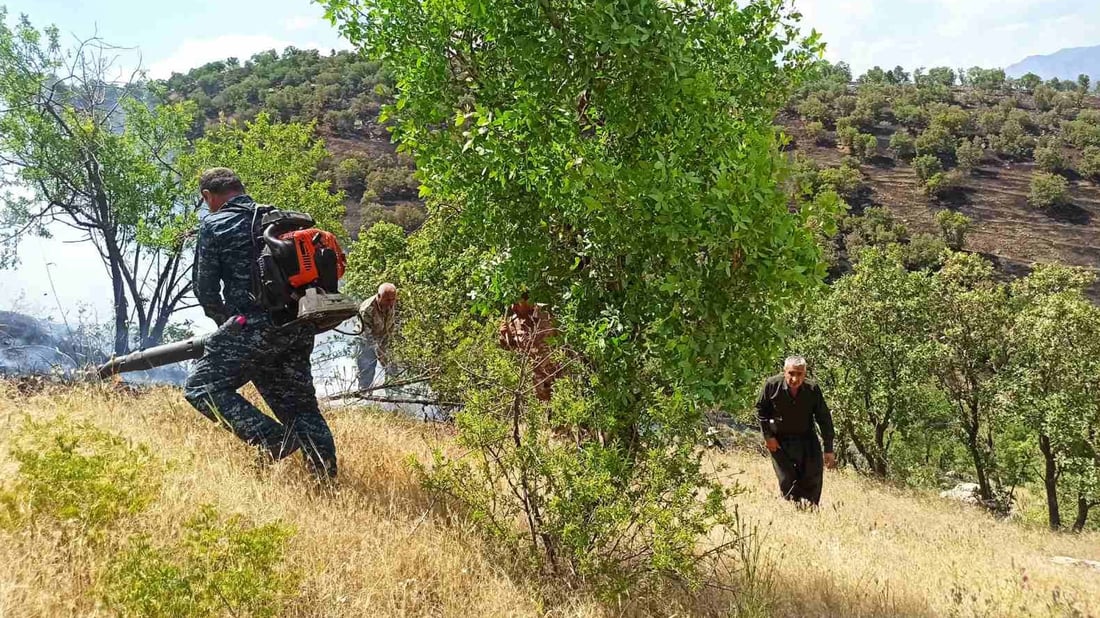 هەورە بروسکە 500 دۆنم دارستان و پوش و پاوانى سووتاند