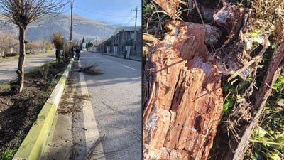 سەبەحبەحەکانی شەقامی مستەفا زەڵمی کلۆر بوون