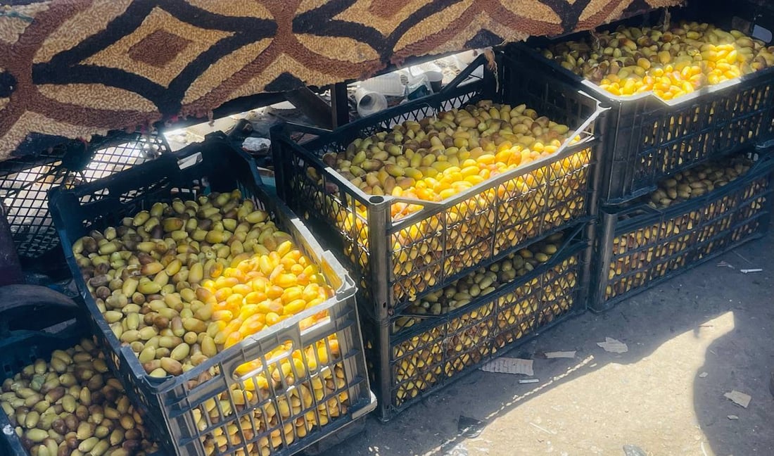 صور: “السعودي” أغلى أنواع الرطب في سوق البصرة و”الأحمر” بـ 1000 دينار فقط