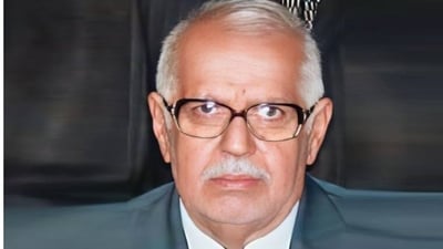 Retired doctor’s killing in Najaf ‘motivated by theft’