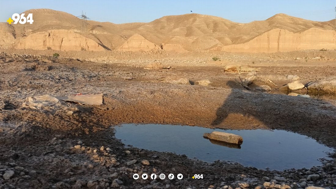 ئاوەسپی ماڵئاوایی لە خورماتوو كرد