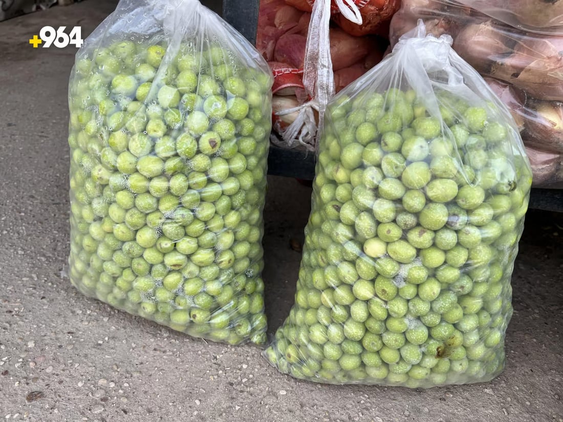 964mediaصورة من منصة (شبكة): 