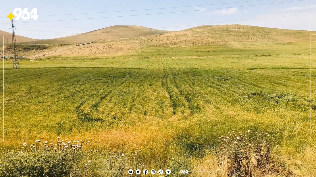 بەرگری شارستانی سلێمانی ئامادەیە