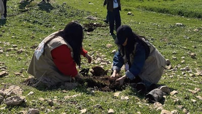 Semel district launches campaign to greenify area