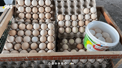 سەرما” بازاڕی هێلکەی کوردی گەرم دەکات”