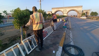 الفاو.. سياج حديدي يحمي الحنّاء المزروعة في الجزرات الوسطية