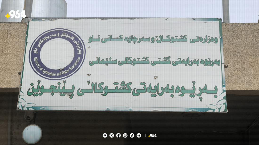 بەرهەمی کشتوکاڵی پێنجوێن زیاتر لە 280 هەزار تۆنە بۆ ئەمساڵ