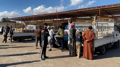 شاهد: بطاطا عراقية مثل الذهب في بغداد.. لكن المزارع يقدم أرقاماً جديرة بالتأمل