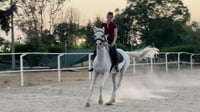 فارسة كركوك.. رند تروّض الخيل العنيد وتقتفي آثار الجرائ...