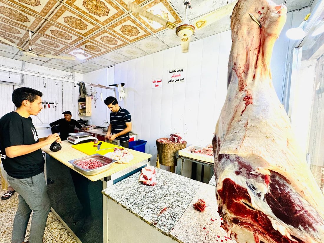 مواكب عاشوراء تبحث عن مواشي كردستان.. أغلى لكن أشهى من الإيرانية