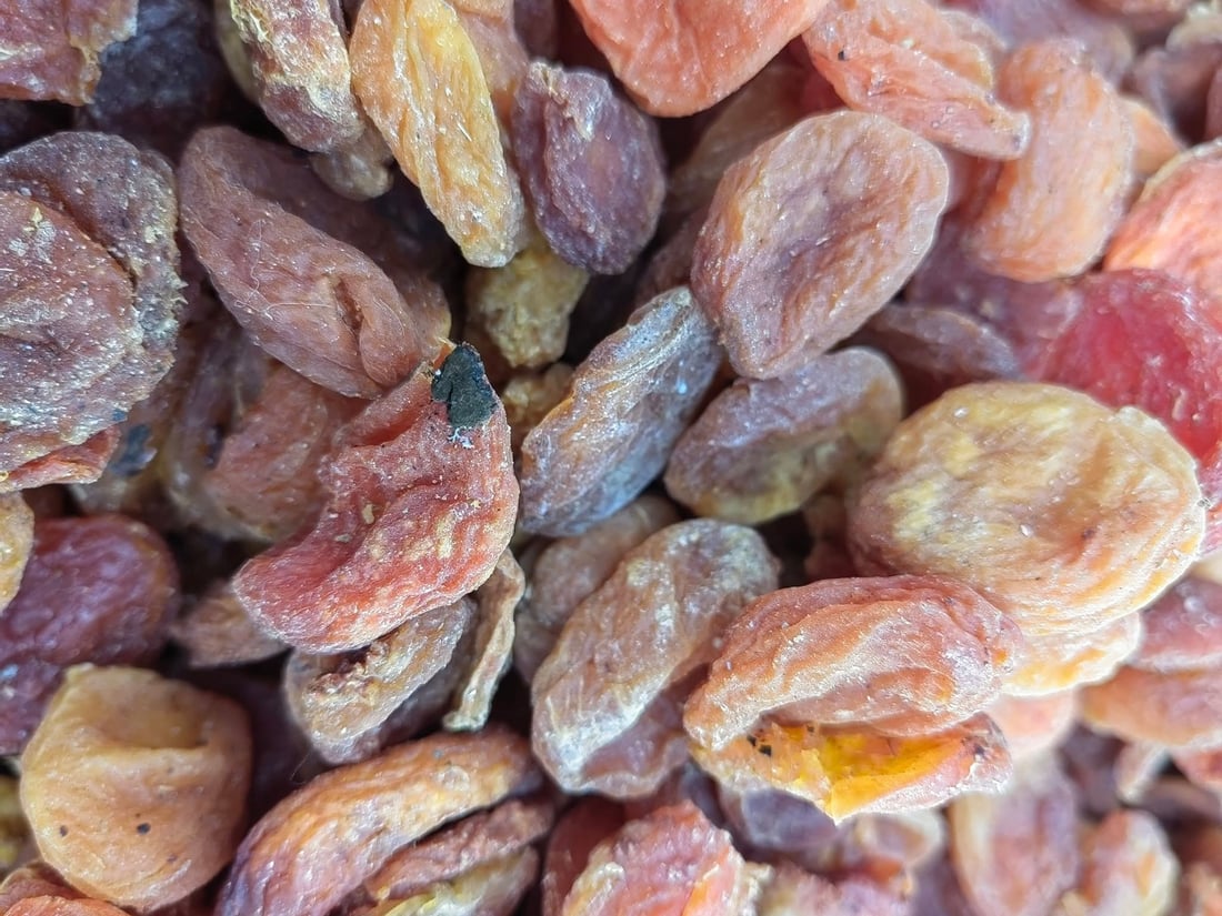 تۆنێک قەیسی وشککراوی کرم لێدراو و 150 کیلۆ ماسی خراپبوو دەستیان بەسەرداگیرا