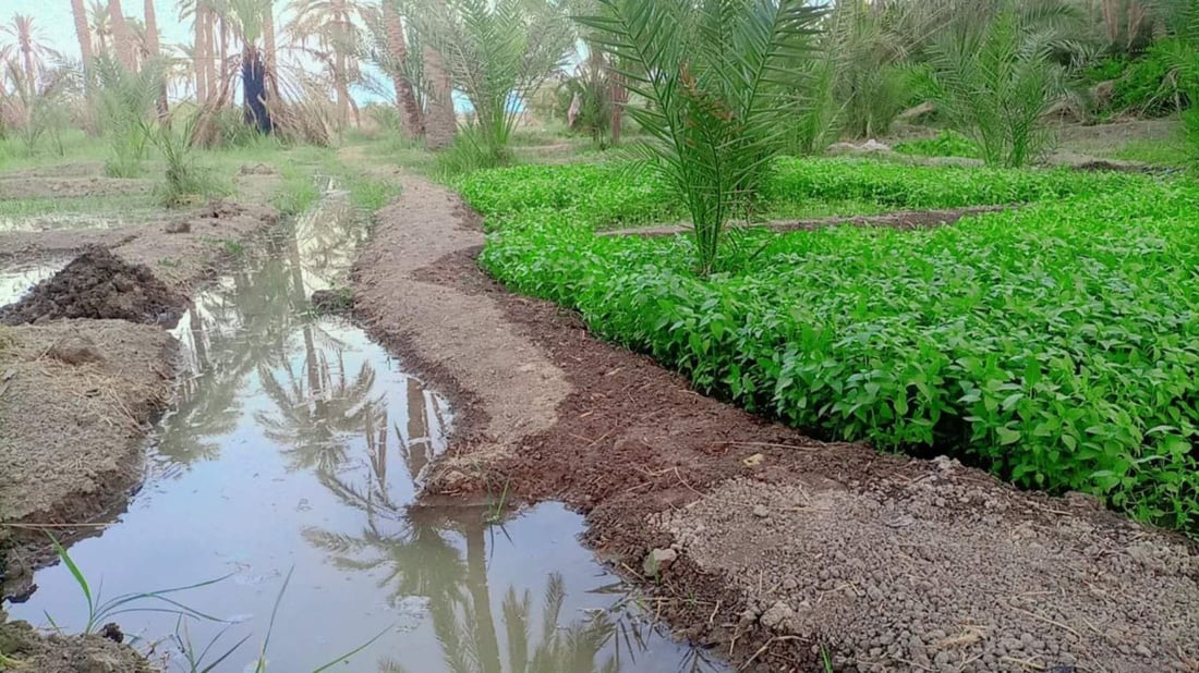 صعقة كهربائية تودي بحياة مزارع جنوبي ذي قار