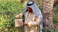 تهاجم بلا رحمة ولا حلول.. بساتين كربلاء تستغيث من 