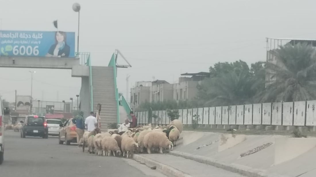 لعبة القط والفأر لا تتوقف.. “جوبة حي صدام” عادت فور انتهاء الحملة (صور)