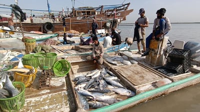 أسعار السمك في مزاد النقعة الصباحي لهذا اليوم (صور)