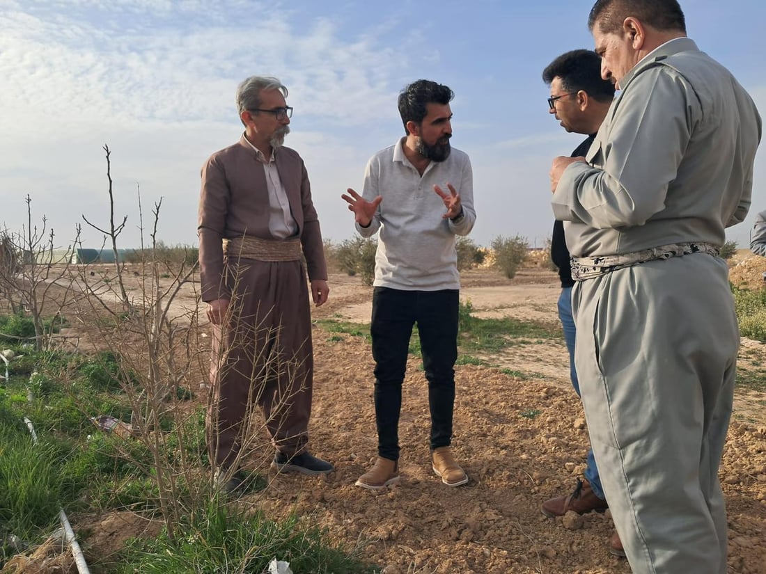 5000 قه‌ڵه‌مه‌ هه‌ناره‌كه‌ى هه‌ڵه‌بجه‌ به‌سه‌ر جوتیارانى شنگال دابه‌ش ده‌كرێت