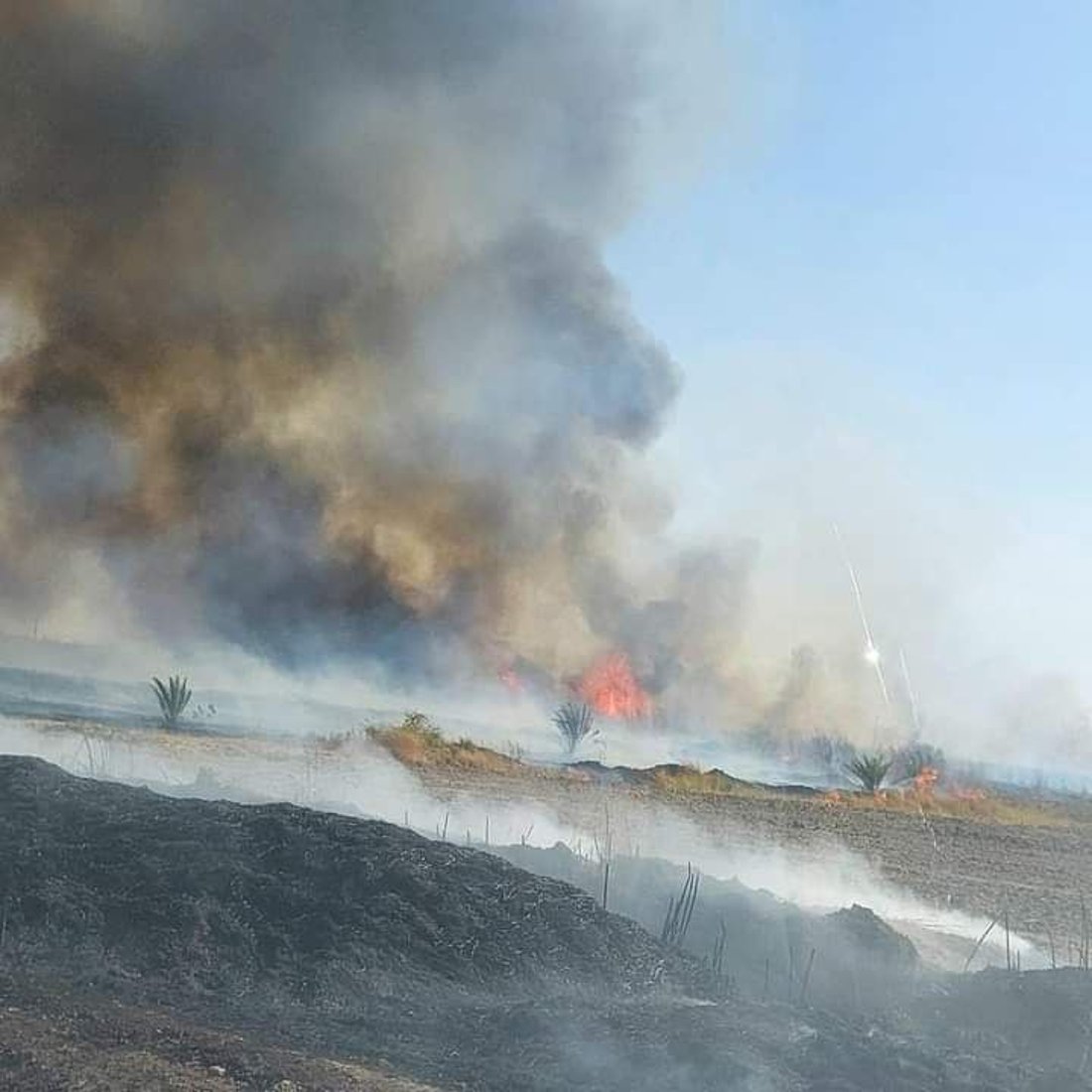 ديالى: حريقان يلتهمان عدة بساتين في المقدادية وحي العسكري (فيديو)