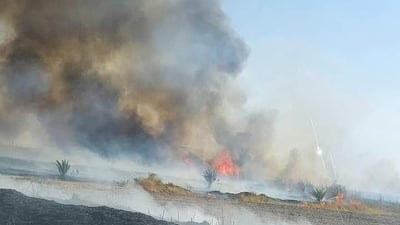 ديالى: حريقان يلتهمان عدة بساتين في المقدادية وحي العسكري (فيديو)