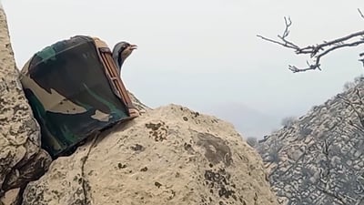 گوندێكی بنارى قه‌ندیل هەراسان بووە به‌ده‌ست راوچییه‌كانه‌وه‌