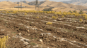 Farmers still using plastic sheeting 14 months after it was banned