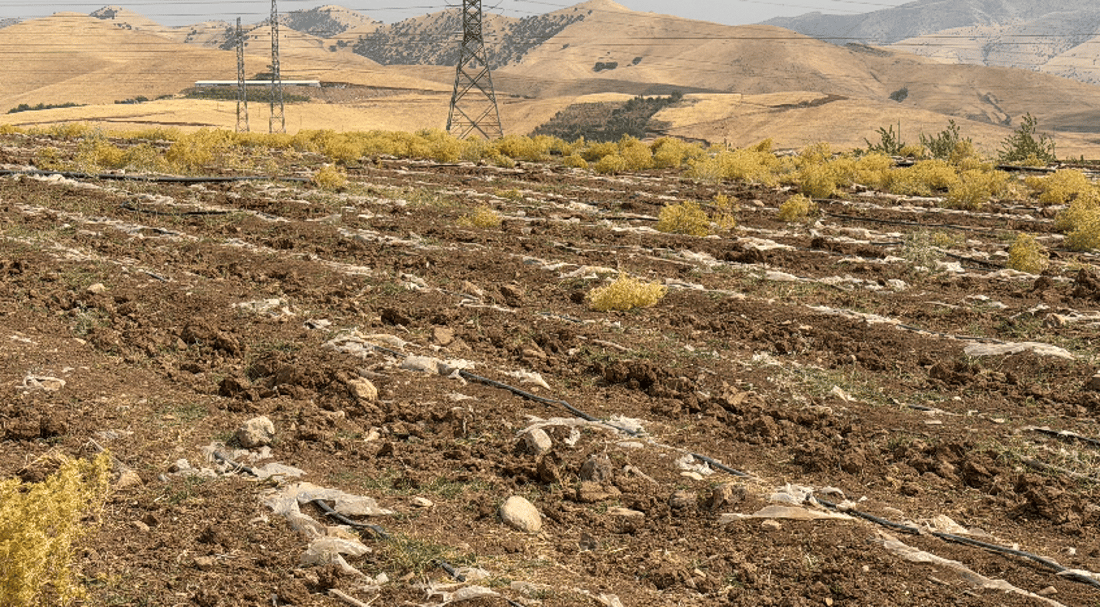 Farmers still using plastic sheeting 14 months after it was banned
