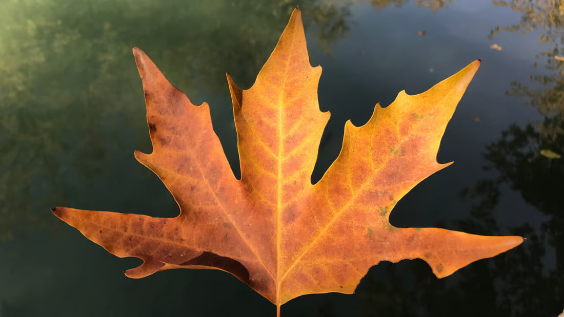 Scenic views of Sarchinar in the heart of Sulaymaniyah