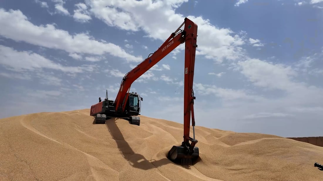 إذا توقف إنتاج الحنطة فخزين العراق يكفي لعام كامل.. شركة الحبوب