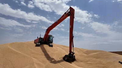 إذا توقف إنتاج الحنطة فخزين العراق يكفي لعام كامل.. شركة الحبوب