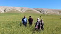 مێرووی “سن” لەناو گەنمی سنووری شێخان بڵاوبووەتەوە