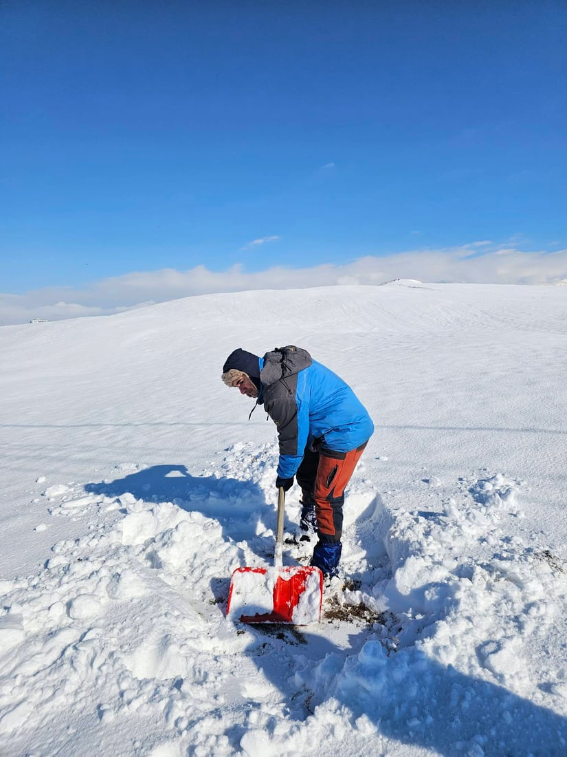 قەڵادزێ؛ سفرەیەکى پڕ لە خۆراک بۆ ئاژەڵ و باڵندەکان رادەخات