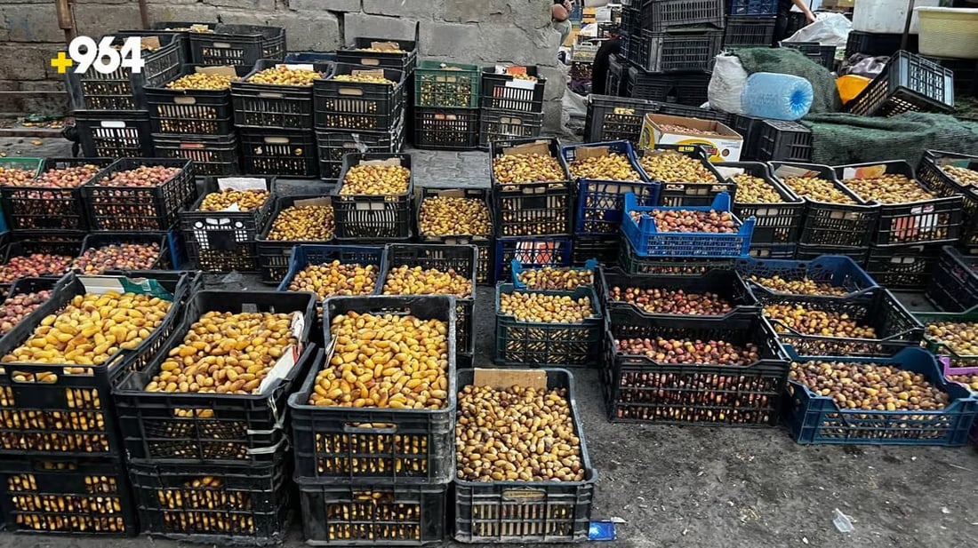 964mediaصورة من منصة (شبكة): 