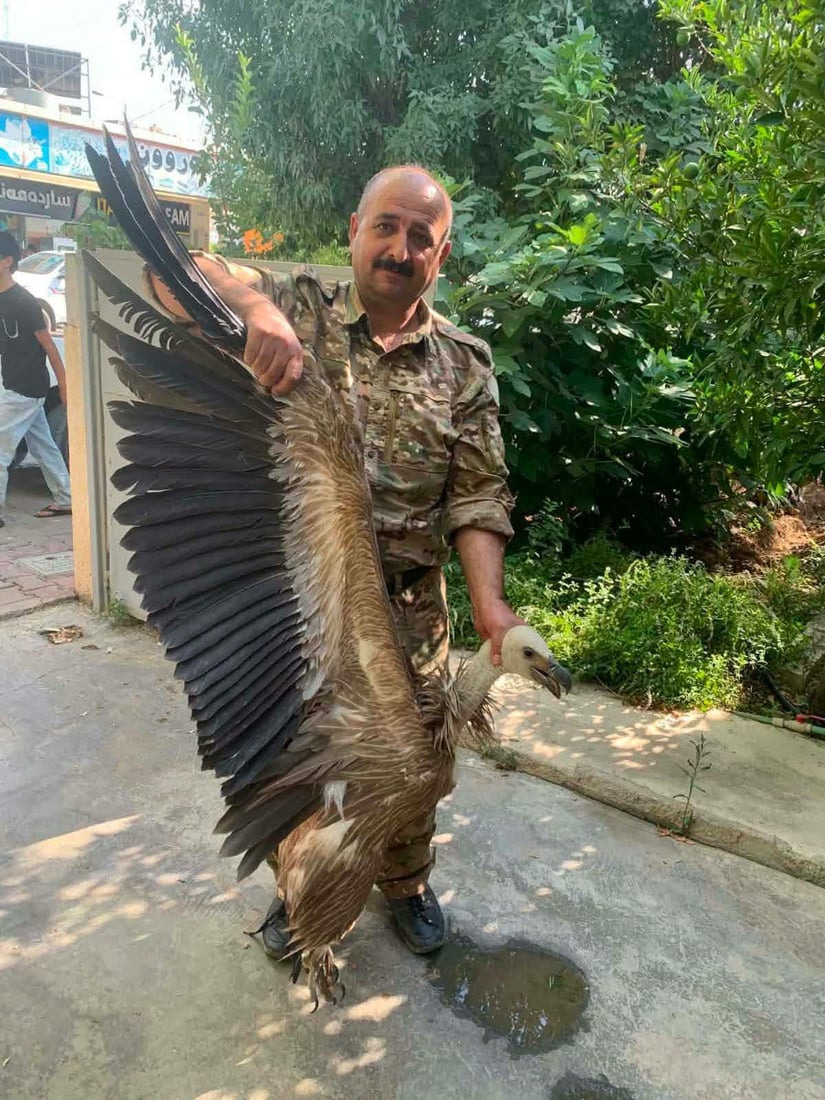 چارەی داڵێکی نەخۆشیان کرد و بە سروشت شادی دەکەنەوە