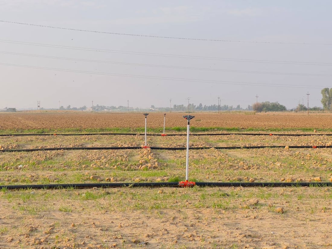 دەنگۆی فرۆشتنی چوار گوند لە خانەقین هەرای ناوەتەوە