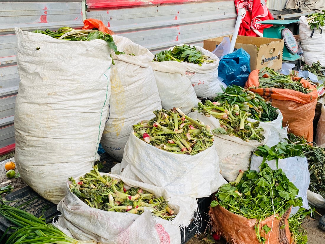 له‌ سۆران گژوگیاى به‌هاره‌ ده‌كرێته‌ فێستیڤاڵ