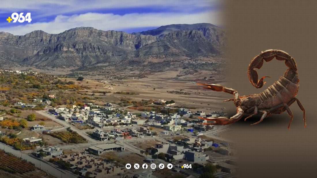 دووپشک و مار دەستیان لە 56 هاوڵاتی بالیسان وەشاندووە