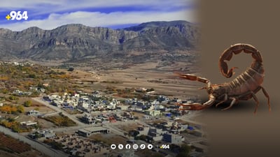 دووپشک و مار دەستیان لە 56 هاوڵاتی بالیسان وەشاندووە