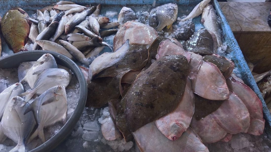 الصبور يشعل مزاد الفاو مبكراً.. الزوج 190 ألف دينار وإن لم يعجبك فالهامور والزبيدي