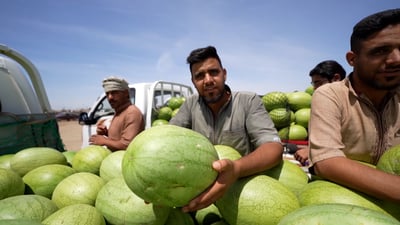 يطلبه أهل بغداد بالاسم.. كاميرا 964 بين قوافل رقّي “العظيم” الشهير