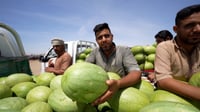 يطلبه أهل بغداد بالاسم.. كاميرا 964 بين قوافل رقّي 