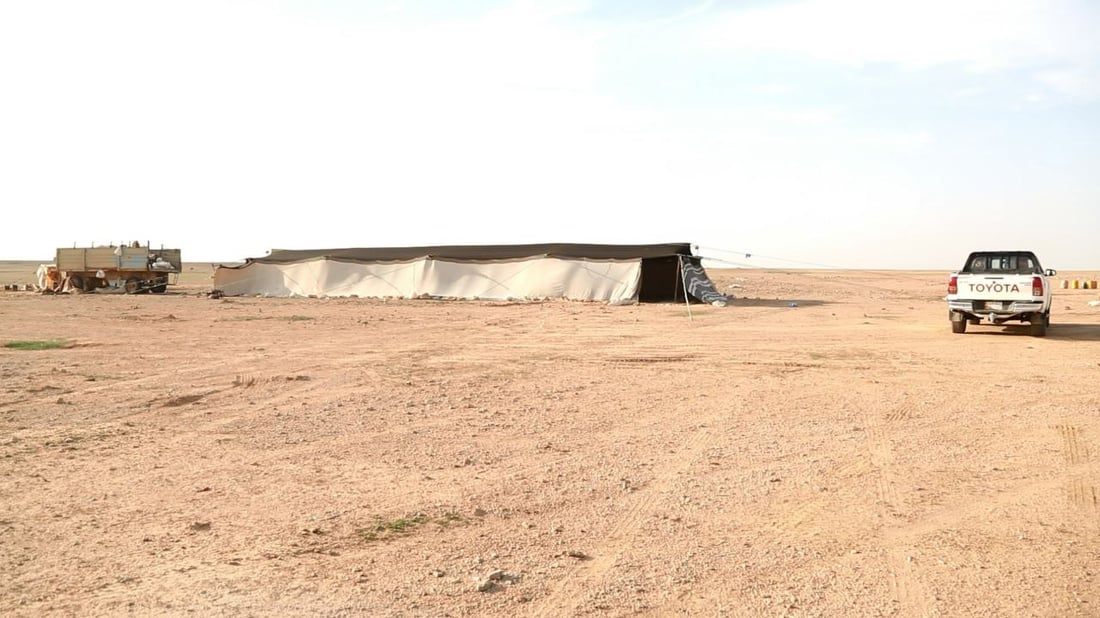 رحلة الشتاء تبدأ في صحراء العراق.. بدو السماوة: سنعود إليكم مع غياب “سهيل” (صور)