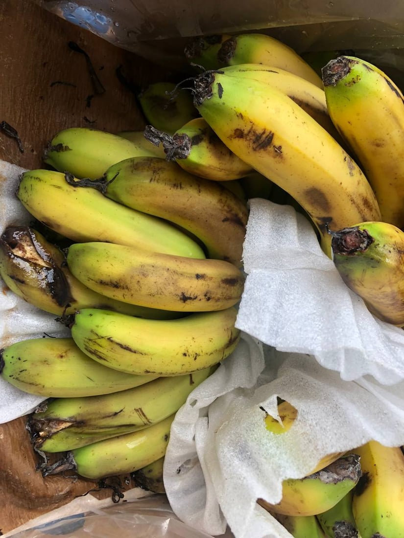 دوو تۆن و 700 کیلۆ پەتاتە و مۆز و قەیسی دەستیان بەسەرداگیرا