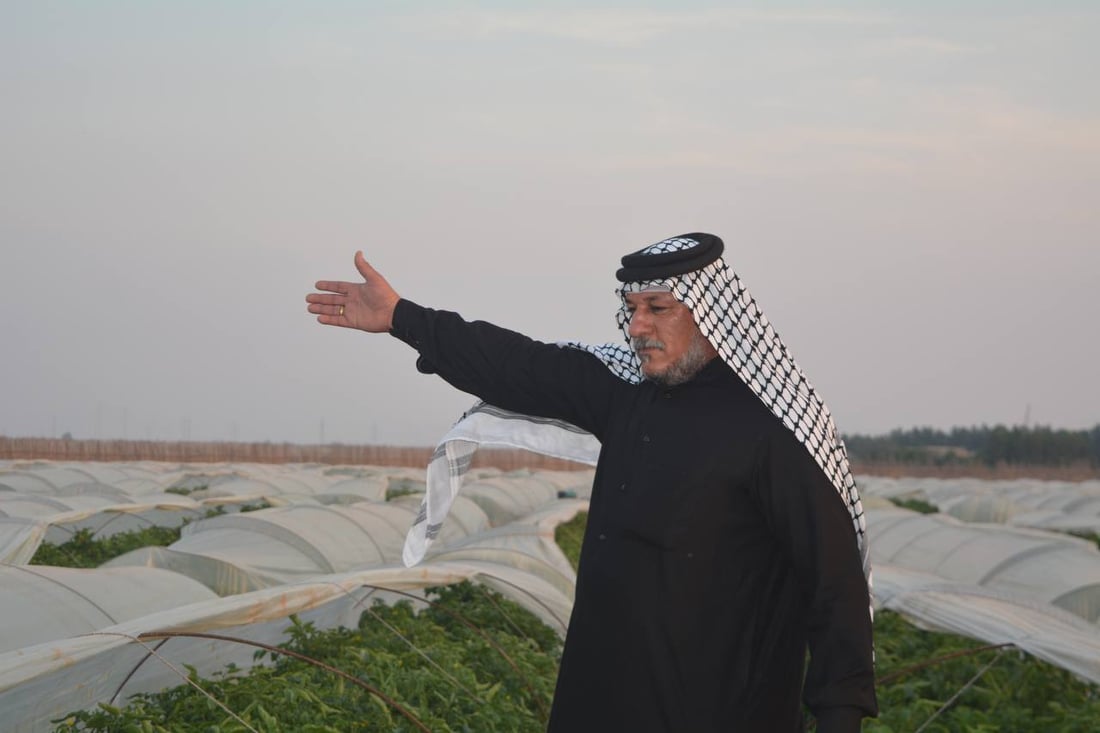 طماطة الزبير الأشهى والأكثر خسارة في العراق.. قائمة بالديون والنفقات (صور)