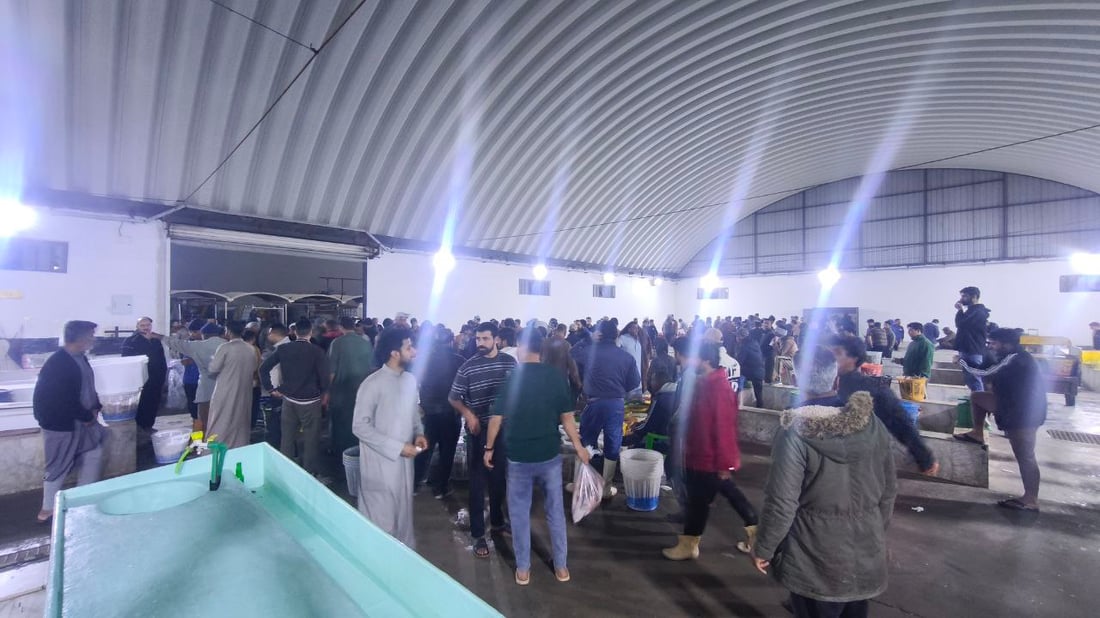 يوم استثنائي في مزاد الفاو الكبير.. الصيادون عادوا بأطنان من لسان الثور و”الوحر”