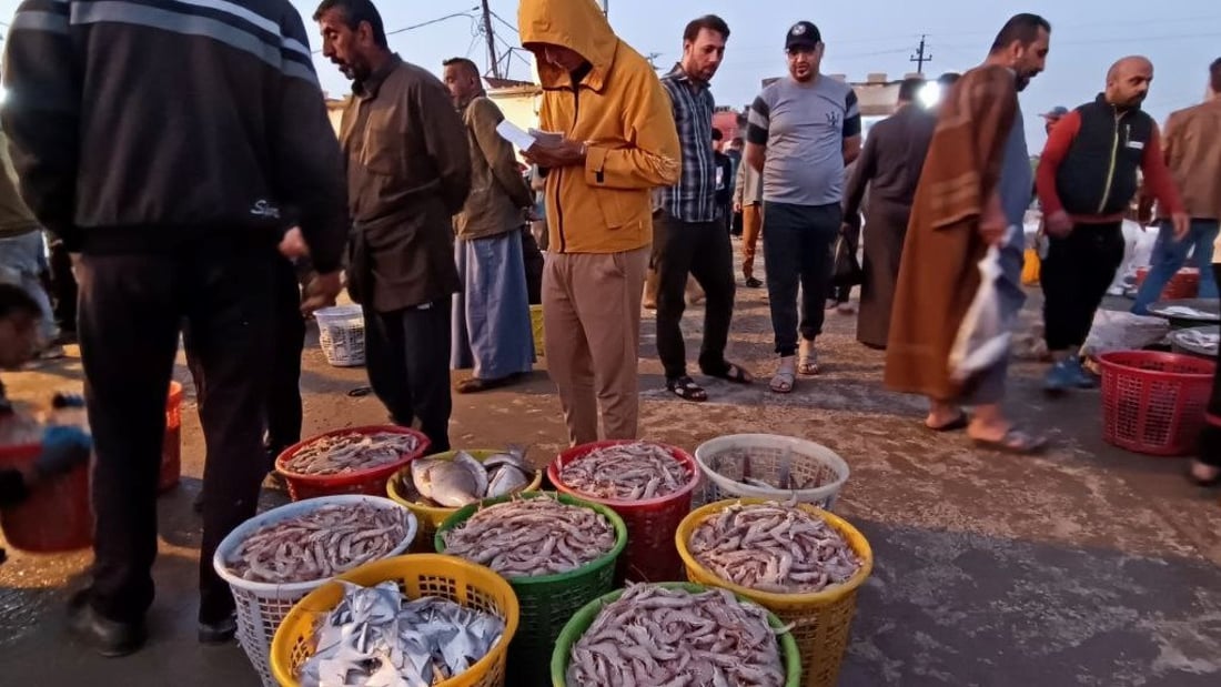 أجواء صيفية في مزاد النقعة.. ارتفاع الحرارة يملأ قوارب الصيادين بأصناف البحر