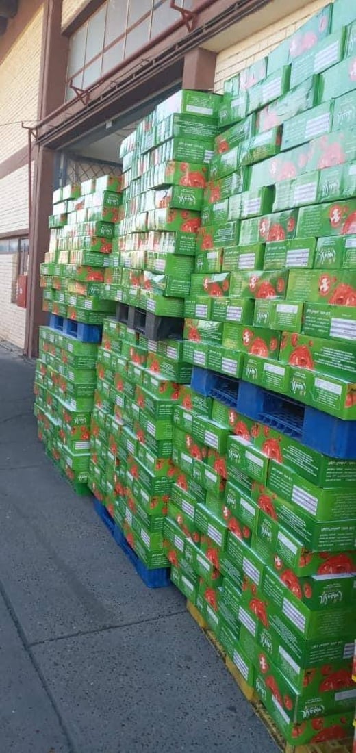 صور: سلّة غذائية وفيرة.. الحصة الأولى لعام 2023 في طريقها إلى الوكلاء