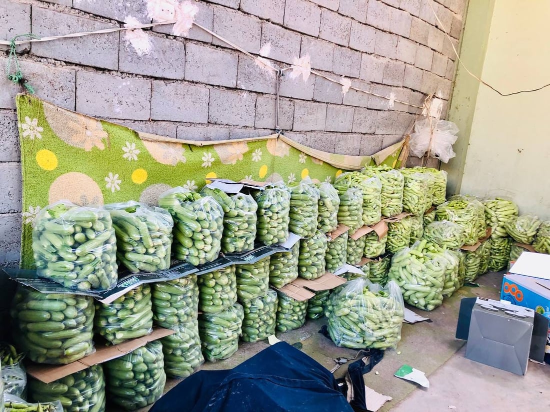 عه‌لوه‌ى ته‌قته‌ق پڕ له‌ به‌رهه‌مى خۆماڵى جوتیاران بووە